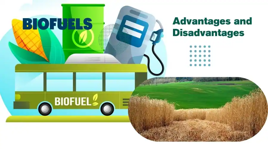 Advantages and disadvantages of biofuels