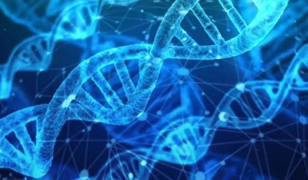 How does biotechnology help in treating genetic diseases