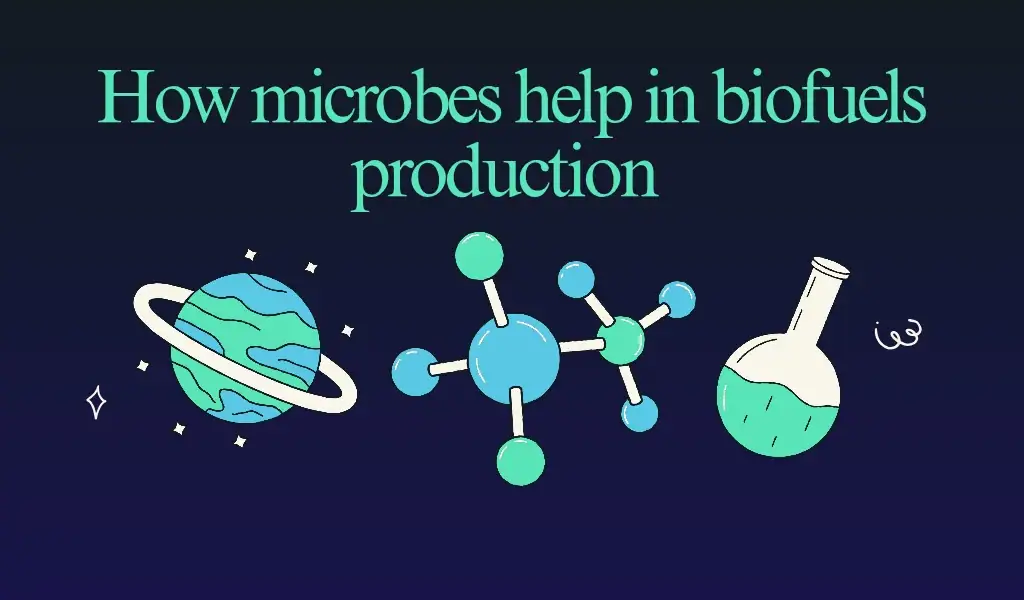 How do microbes help in biofuel production